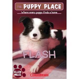 Flash (the Puppy Place #6) -- Ellen Miles
